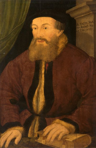 Portræt af en mand, 1551 af Flemish School