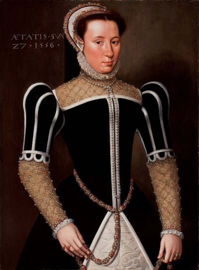 Portræt af en kvinde, 1556 af Flemish School