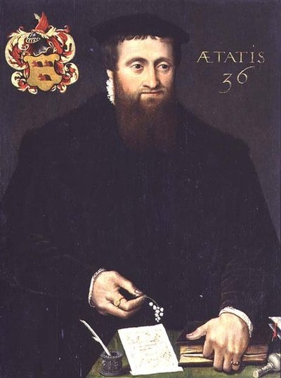 Portræt af en lærd, muligvis en matematiker, på 36 år (panel) af Flemish School