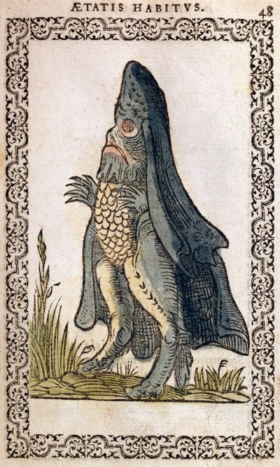 Havbiskoppen eller søuhyret, illustration fra The Habits and Portraits of Almost All Nations and Contemporary Nations af Jean Sluperji, Antwerpen, 1572 (farvet træsnit) af Flemish School