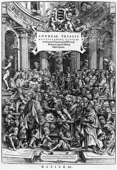 Andreas Vesalius
