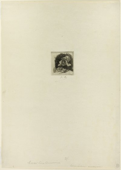 Flamsk markedsgartner af Félicien Rops