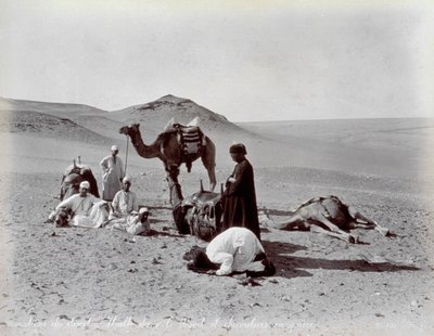 Egyptiske camelere under en pause i ørkenen. I forgrunden ser to medlemmer af den lille gruppe ud til at bede. af Félix Bonfils