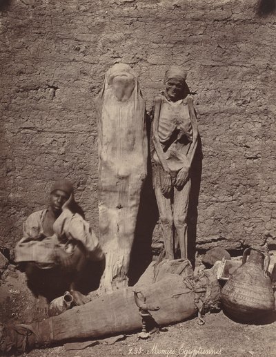 Momies Egyptiennes (egyptiske mumier) af Félix Bonfils