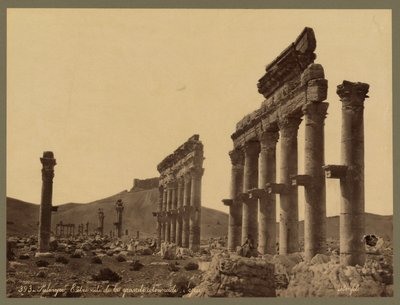 En del af den store søjlegang, Qalaat Ibn Maan Slot i det fjerne, Palmyra, ca. 1875 (albumin print) af Félix Bonfils