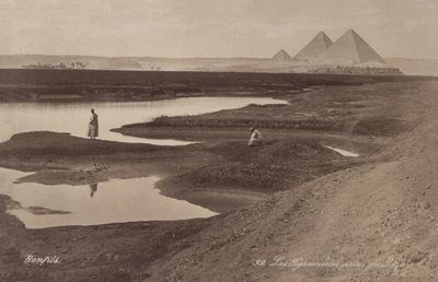 Pyramiderne i Giza, ca. 1900 (foto) af Félix Bonfils