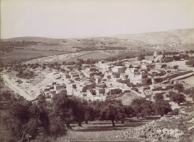 Generel udsigt over Bethany - Generel udsigt over Betania, ca. 1880. af Félix Bonfils