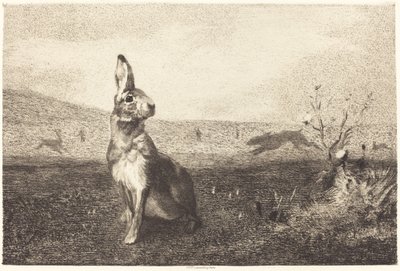 Haren af Félix Bracquemond after Albert de Balleroy