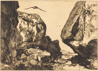 Gorge in the Rocks af Félix Bracquemond after Jules Laurens