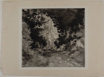 Chemin de Coutures i Sèvres af Félix Henri Bracquemond