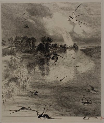 Svaler af Félix Henri Bracquemond