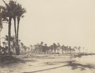 El-Nâcérah, Dattiers, Rives du Nil et Barques, 1851-52, trykt 1853-54. af Félix Teynard