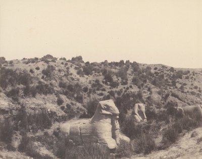 Karnak Theben, Sfinx med menneskehoved og ramshoved, i Y, 1851-52, trykt 1853-54. af Félix Teynard