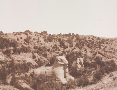 Sfinxer med et menneskehoved og med et vædderhoved ved punkt Y. Karnak Theben, 1851-1852. af Félix Teynard