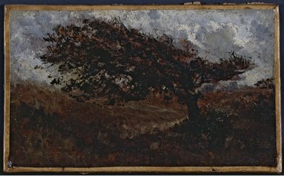 Le coup de vent, mellem 1850 og 1860 (olie på papir på lærred) af Félix Ziem
