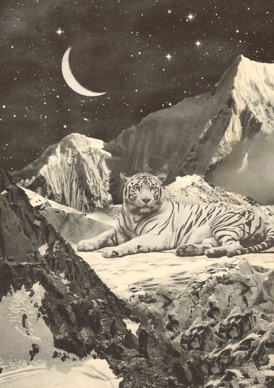 Kæmpe hvid tiger i bjerge af Florent Bodart