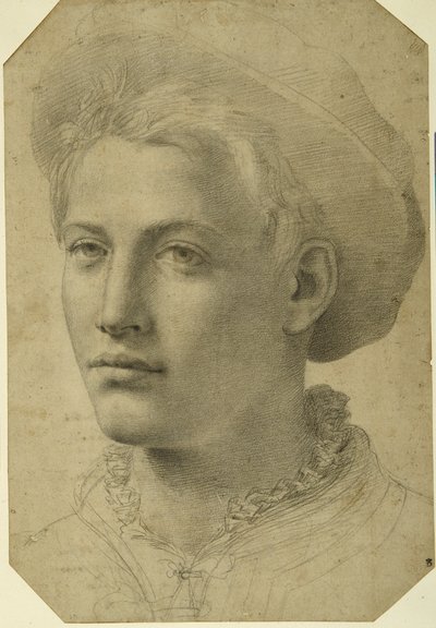 Portræthoved af en ung iført kasket, ca. 1530-40 (sort kridt på hvidt papir) af Florentine School