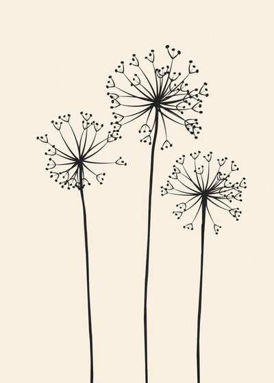 Minimalistiske mælkebøtteblomster af Flow Line