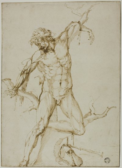 Marsyas bundet til et træ af Follower of Baccio Bandinelli