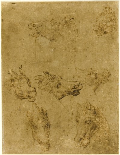 Hoveder af heste og enhjørninger af Follower of Leonardo da Vinci