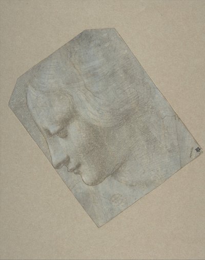 Hovedet af en kvinde i profil vendt mod venstre, 1490-1500. af Follower of Leonardo da Vinci.
