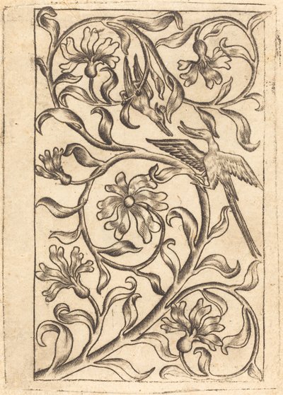 Vinranke ornament med to fugle af Follower of Master of the Playing Cards