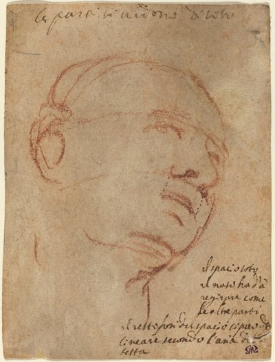 Hoved af en mand af Follower of Michelangelo