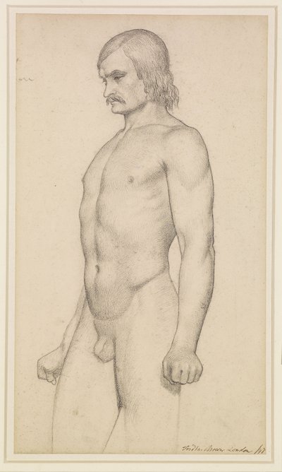 Mandlig nøgenmodel - Akademisk studie, nøgenmodel i trekvart længde, med overskæg og knyttede næver af Ford Madox Brown