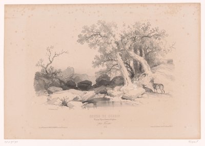 Klippelandskab med vand og to hjorte Tegnekursus med studier af landskaber, dyr og detaljer (serietitel) Kursus designet. Paysages, figurer, animaux, tilbehør, af Férogio (serietitel på objekt) af Fortuné Ferogio