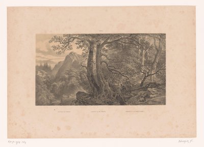 To jægere i en skov i Pyrenæerne Jagt i Pyrenæerne / Jagdparthie i Pyrenaën / Cazadores de los Pirinéos (España) (titel på objekt) Tall i et landskab (serietitel) af Fortuné Ferogio