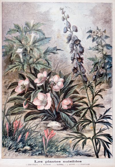 Skadelige planter, 1897 af Fortuné Méaulle