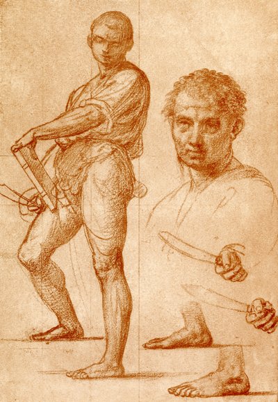 Undersøgelse af St. Bartholomew af Fra Bartolomeo