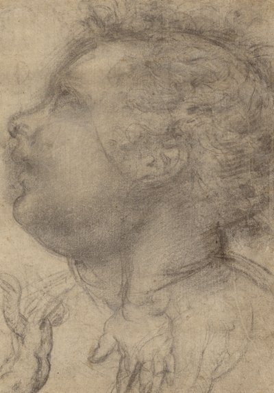 Hoved af et barn, en engel og en hånd (recto); mandlig figur (verso) af Fra Bartolommeo (Baccio della Porta)