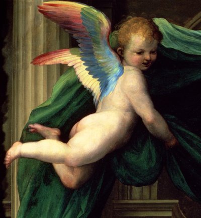 Katarina af Sienas mystiske ægteskab med hellige, detalje af en engel, 1511 olie på paneldetalje af 93870 af Fra Bartolommeo