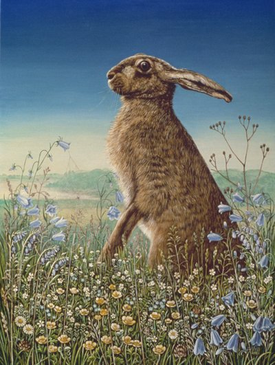 Hare, 1984 (olie og tempera på panel) af Frances Broomfield