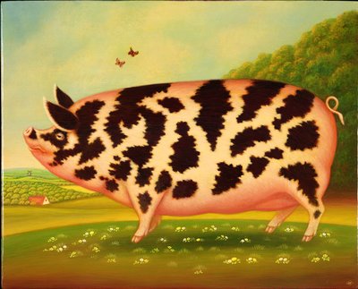 Old Spot Pig, 1998 (olie og tempera på panel) af Frances Broomfield