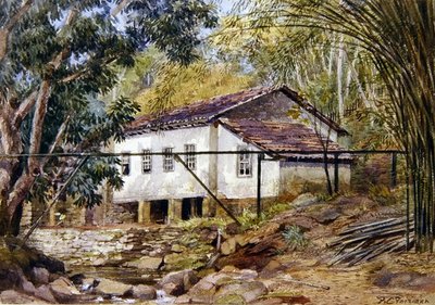 Britisk Vestindien (akvarel på papir) af Frances C. Fairman