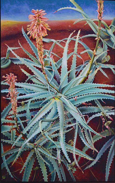 Aloe af Frances Ferdinands