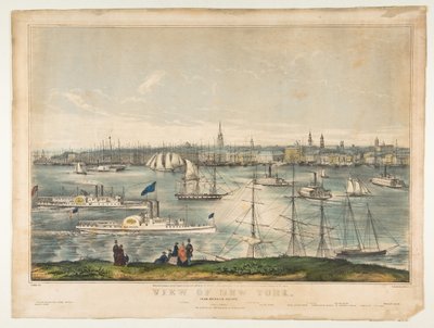Udsigt over New York fra Brooklyn Heights, 1849. af Frances Flora Bond Palmer