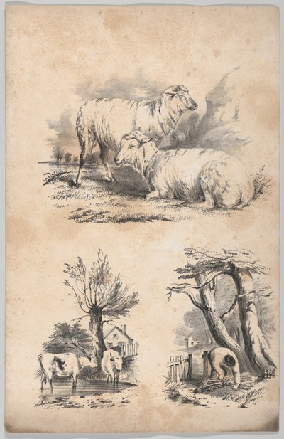 Vignette med to får, Vignette med to køer i en pool og Vignette af en skovsamler..., 1847. af Frances Flora Bond Palmer