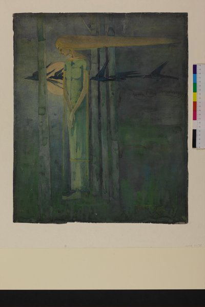 "Ill Omen", eller, "Pige i østenvinden med ravne, der passerer månen" 1893 af Frances Macdonald