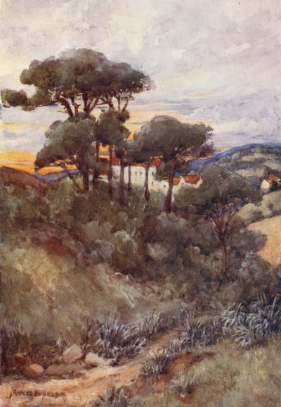 Stone Pines, Algier (farvelitografi) af Frances Nesbitt