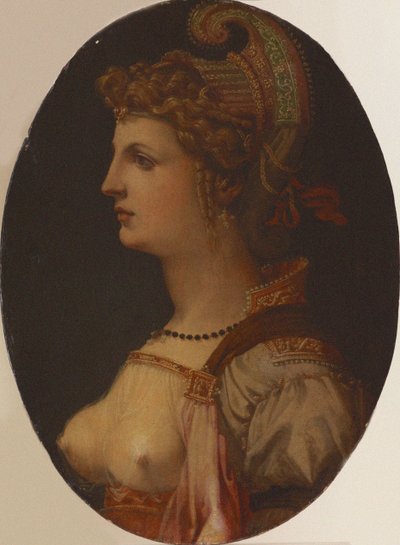 Ideelt portræt af en dame Portræt af Vittoria Colonna. af Francesco Bacchiacca
