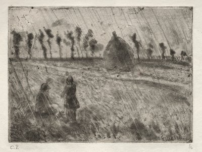 Regn effekter af Francesco Conti