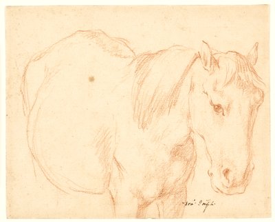 En hest af Francesco Fernandi