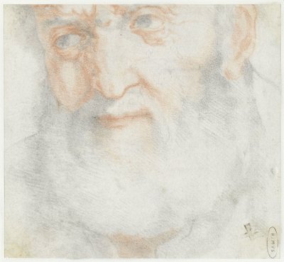 Hoved af en gammel mand med skæg af Francesco Furini (attributed to)