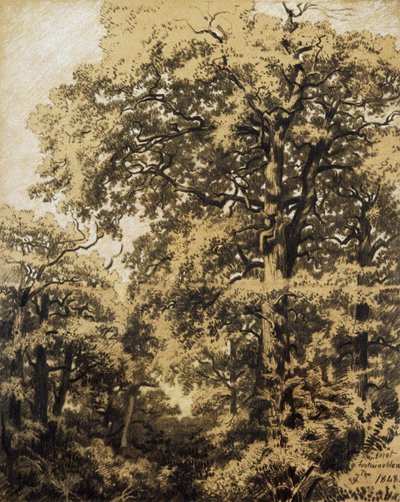 Fontainebleaus skov af Francesco Gamba