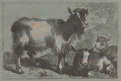 Ged og to unger, 1758. af Francesco Londonio