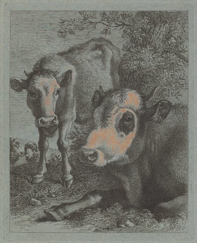 Liggende ko og kalv i det fri, 17581759. af Francesco Londonio