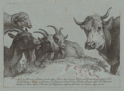 Studie af hoveder: Tre geder, en okse og en vædder, udgivet ca. 1783. af Francesco Londonio